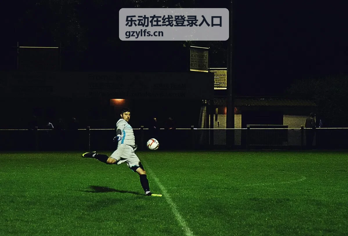 乐动在线登录入口安全登录服务