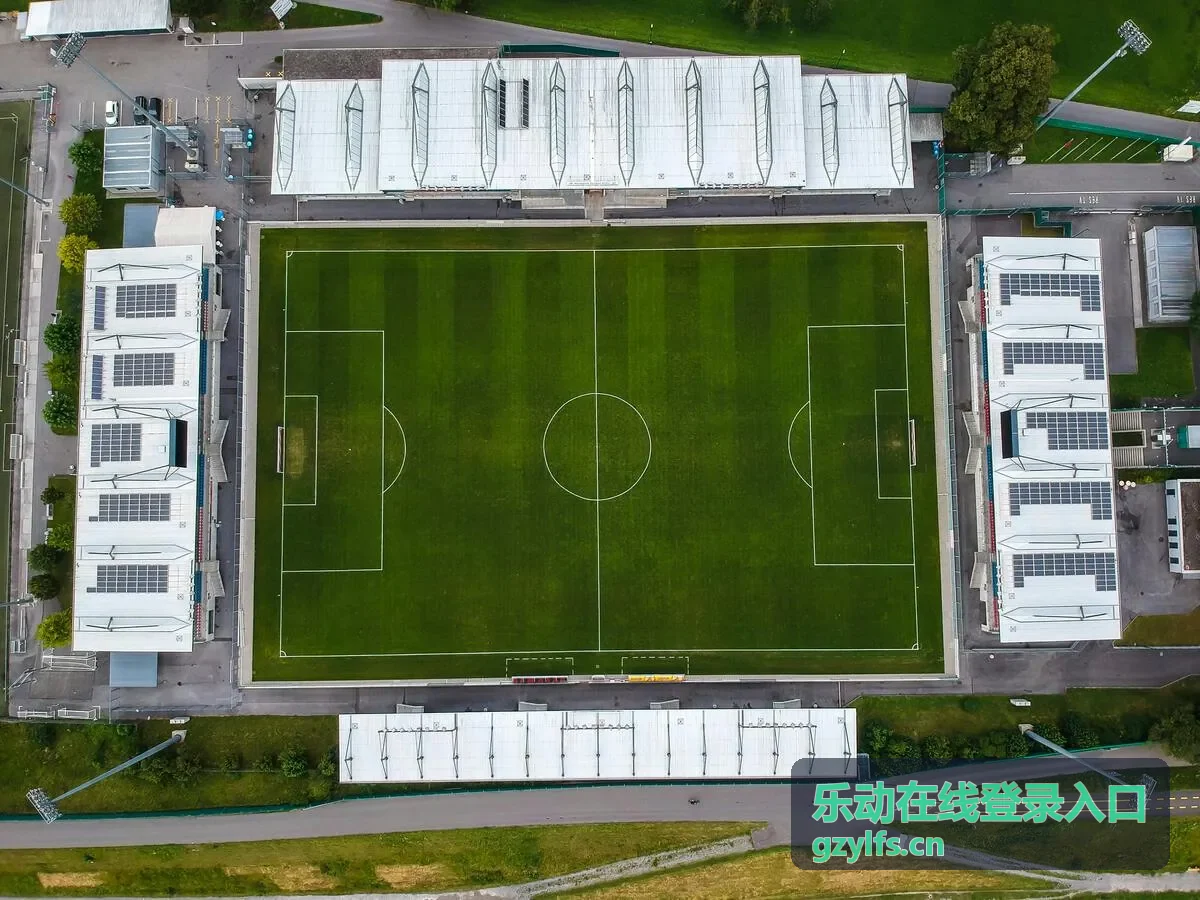 乐动在线登录用户阿林